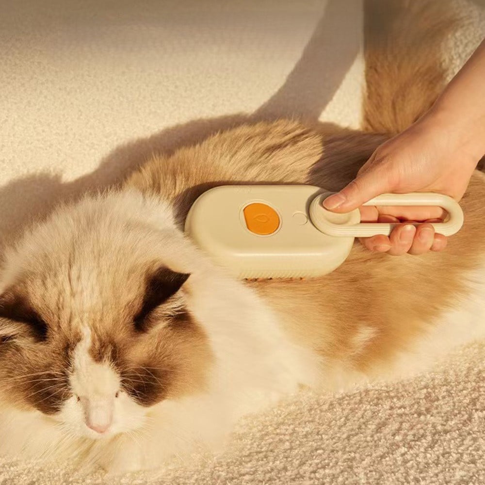 🐱Cat Pet Spray Comb🐕